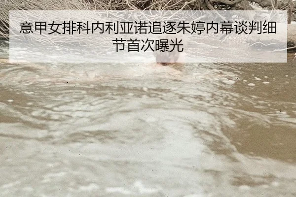 意甲女排科内利亚诺追逐朱婷内幕谈判细节首次曝光